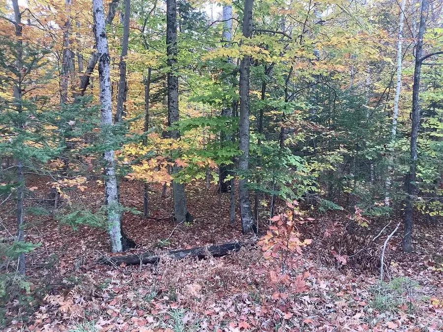 TBD Deer Lane Rd, Washington Island, WI 54246 - #3