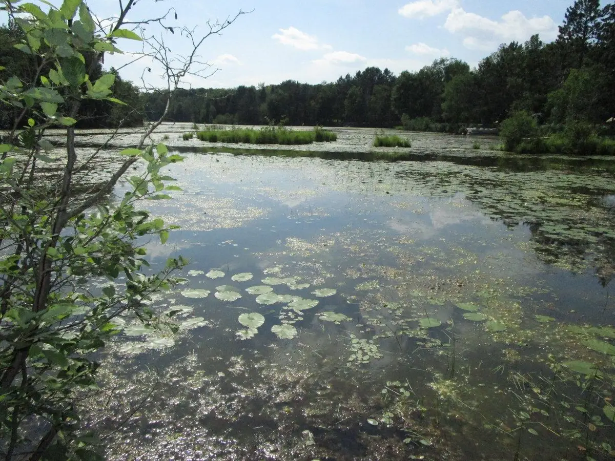 ON Peninsula Dr, Phillips, WI 54555 - Image #1