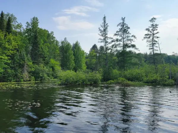 19308 Mamie Lake Rd W, Watersmeet, MI 49969