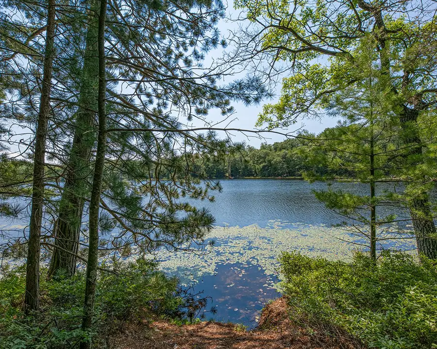 6805 Long Lake Dr, Rhinelander, WI 54501 - Image #2