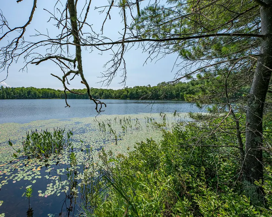 6805 Long Lake Dr, Rhinelander, WI 54501 - Image #3