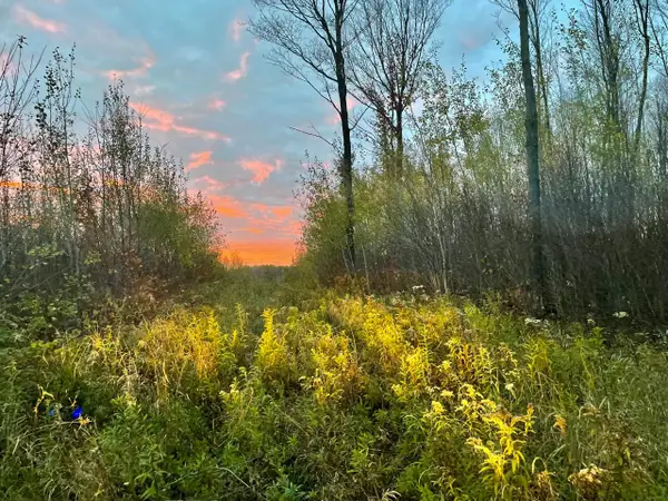 ON Musser Dr, Phillips, WI 54555