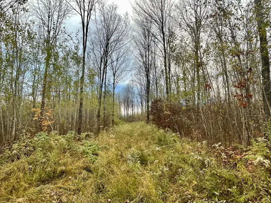 ON Musser Dr, Phillips, WI 54555 - Image #2