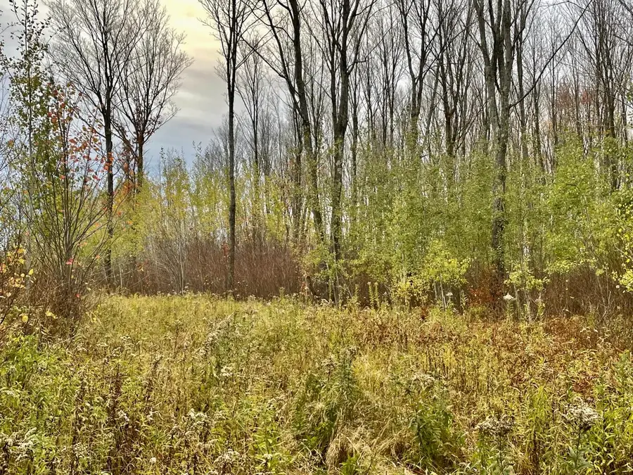 ON Musser Dr, Phillips, WI 54555 - Image #3