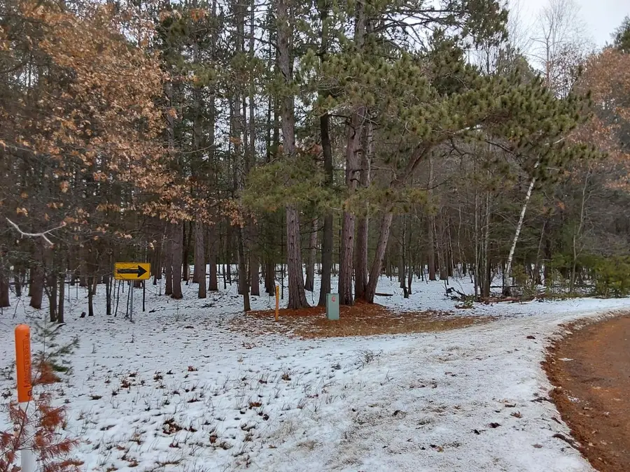 LOT 31 Blumenstein Rd, Woodruff, WI 54568 - Image #2