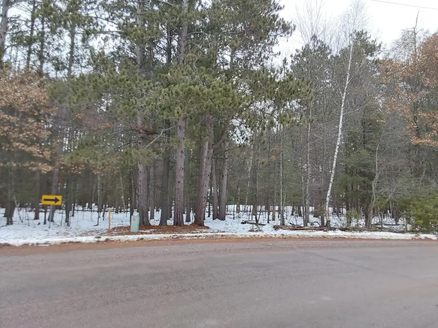 LOT 31 Blumenstein Rd, Woodruff, WI 54568 - Image #3