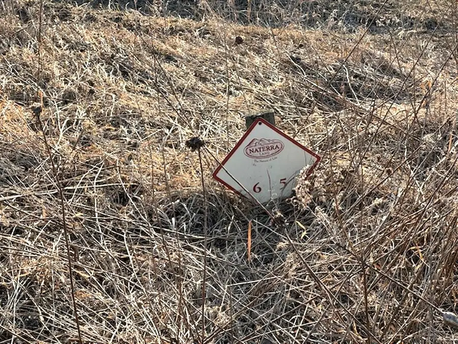 Lot 6 Thorn Apple Dr, Wittenberg, WI 54499 - Image #2