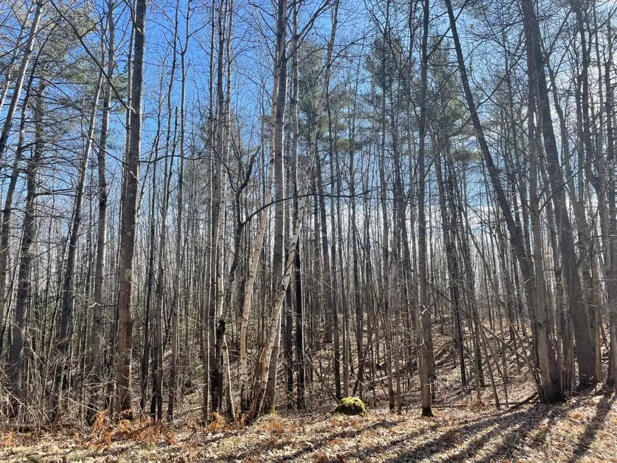 4684 N Smith Rd, Couderay, WI 54828 - Image #3