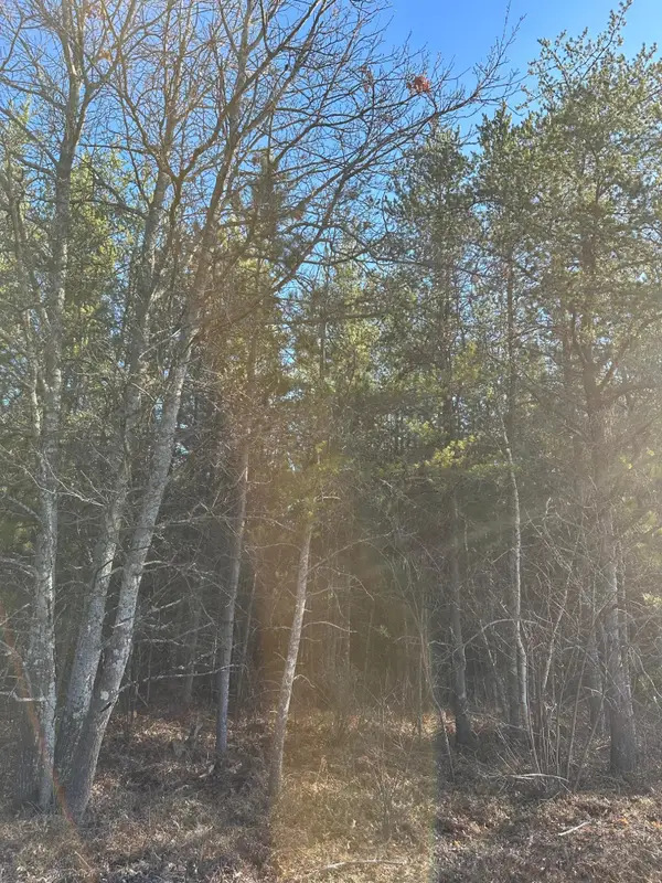 ON Lower Kaubashine Rd #4094-2, Hazelhurst, WI 54531