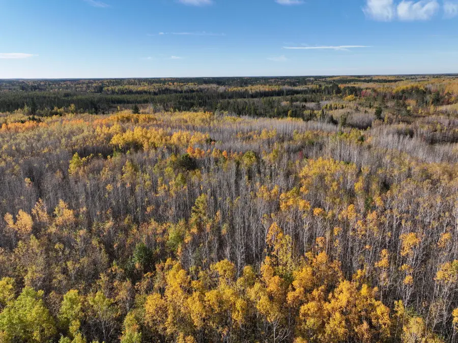 NEAR Rocky Run Rd, Harshaw, WI 54529 - Image #2