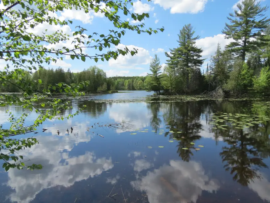 Lot 1 Sand Cove Pointe Rd, Park Falls, WI 54552 - Image #3