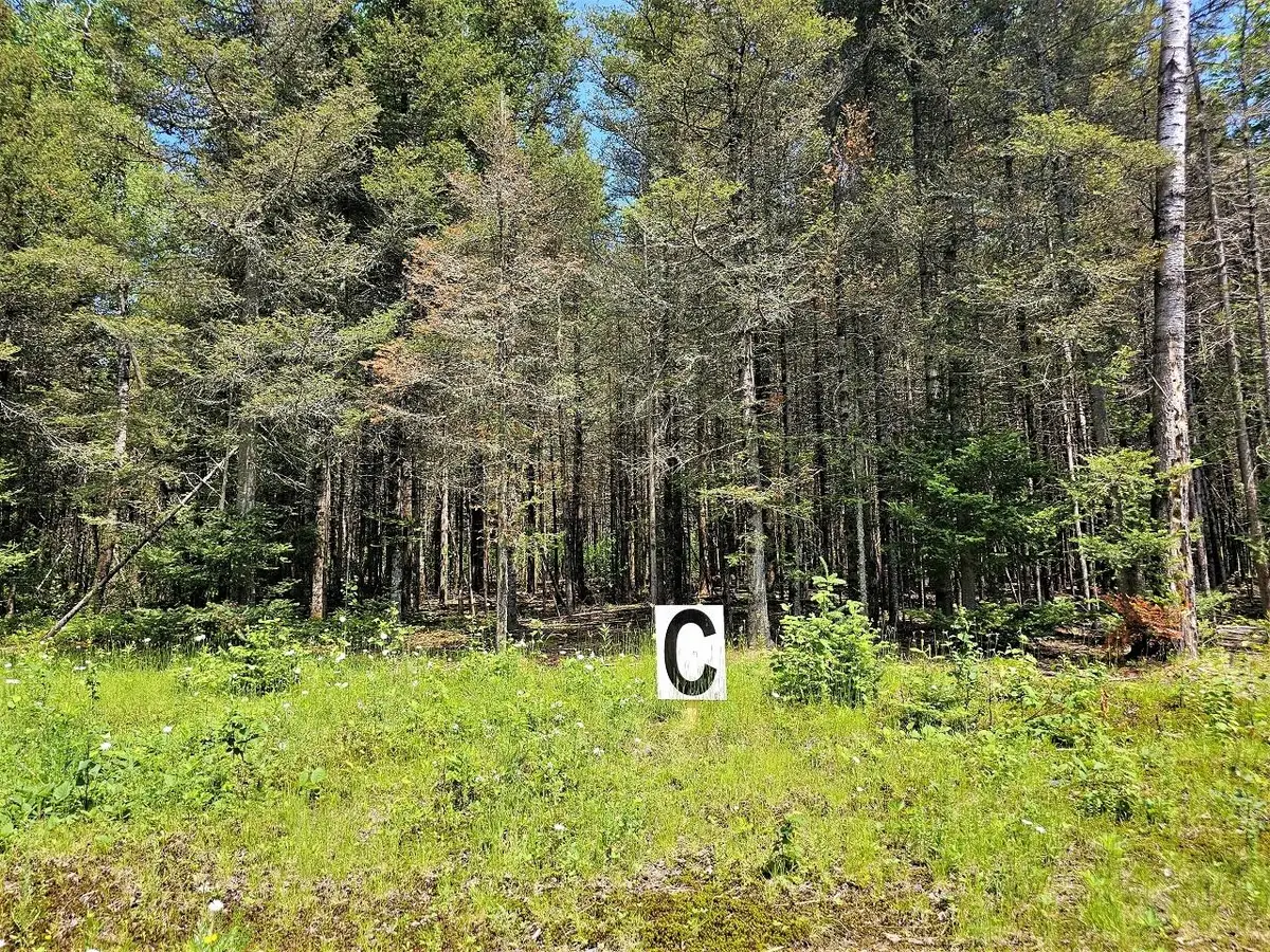 Lot C Homers Rd, Mercer, WI 54547 - Image #1