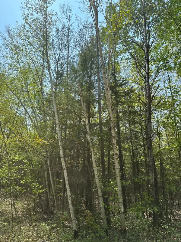 ON Burrows Lake Rd #Lot 11, Tomahawk, WI 54487