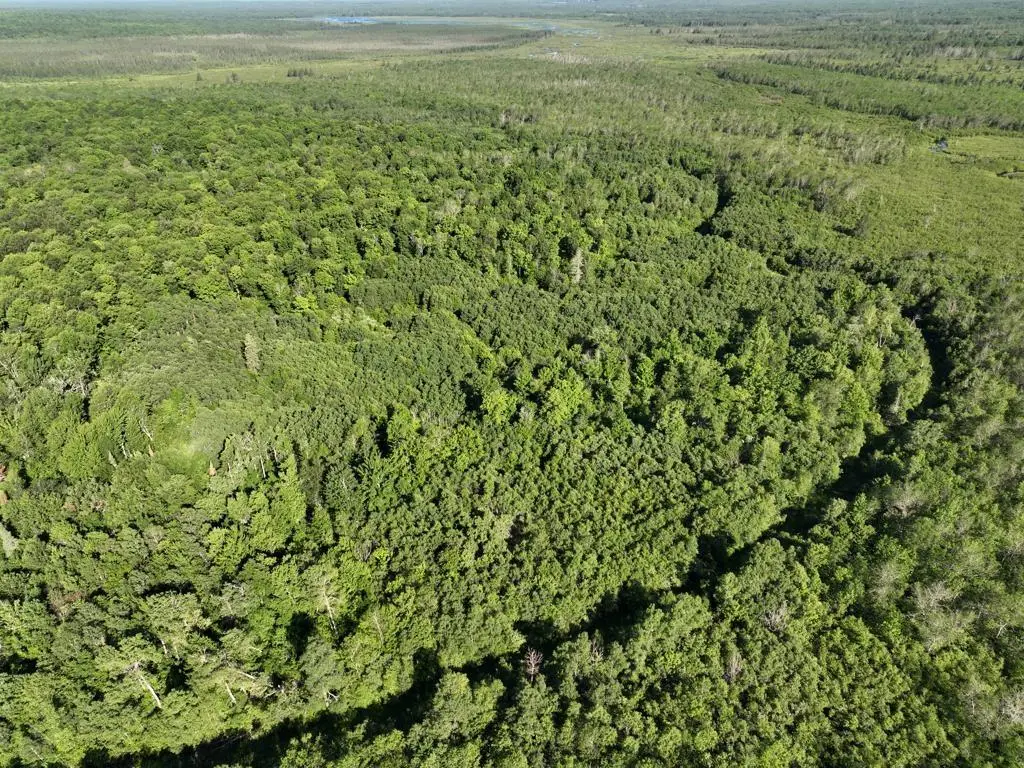 00 Johnson Ave, Brantwood, WI 54513 - Image #1