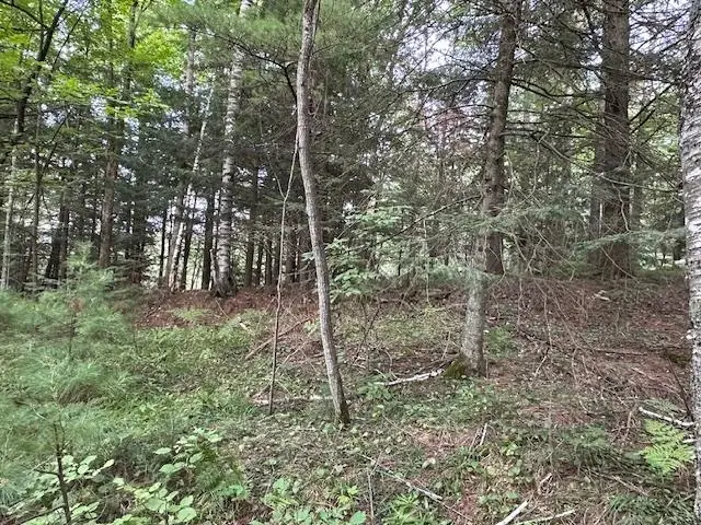 000 Dahl Rd, Ogema, WI 54459 - Image #3