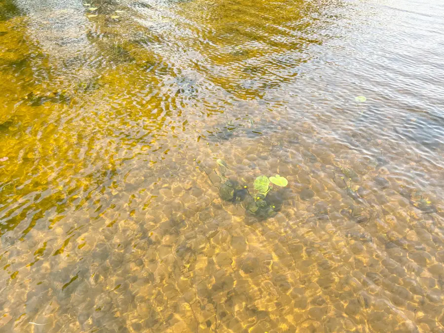 1134 Roberts Rd, Pelican Lake, WI 54463 - Image #2