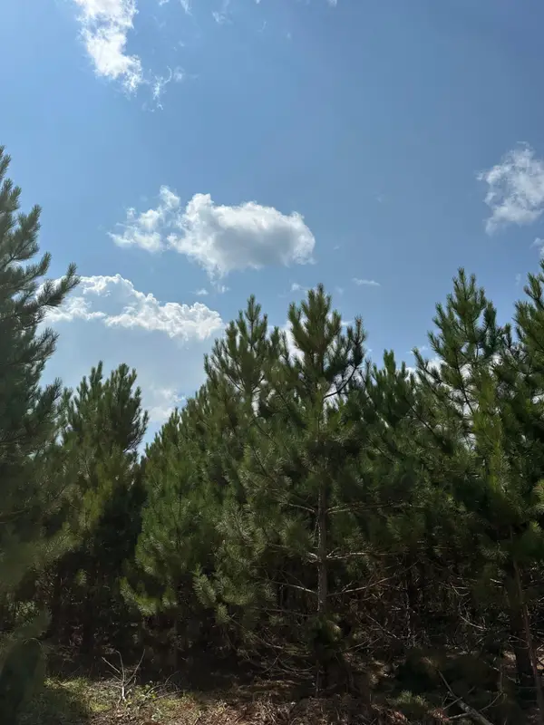 ON Cth Y #Lot 4, Tomahawk, WI 54487