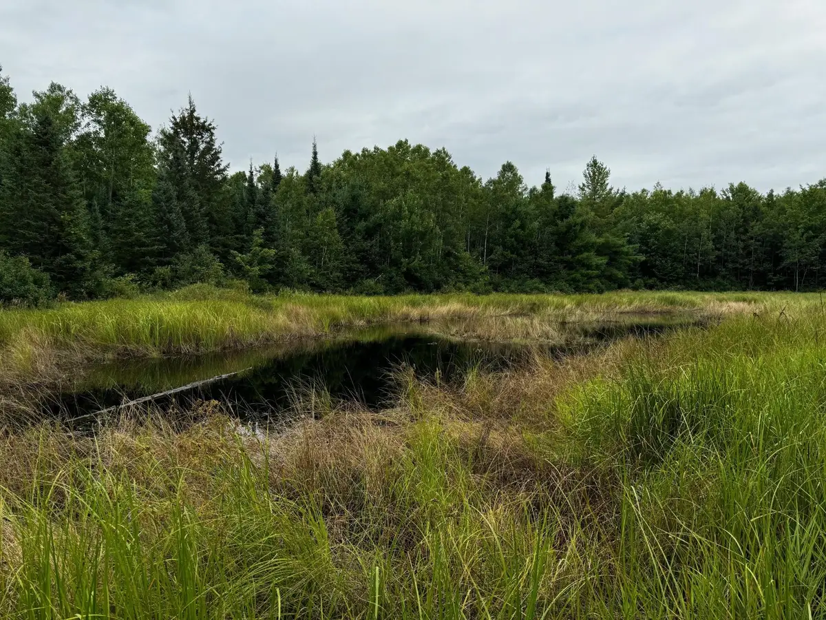 0000 Pine Lake Rd #Lot 1, Minocqua, WI 54548 - #1