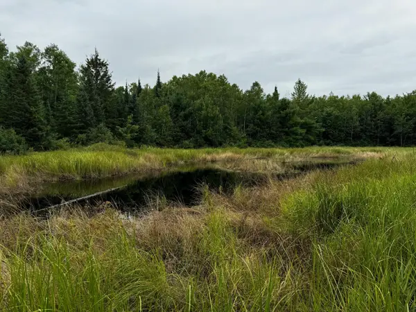 0000 Pine Lake Rd #Lot 1, Minocqua, WI 54548