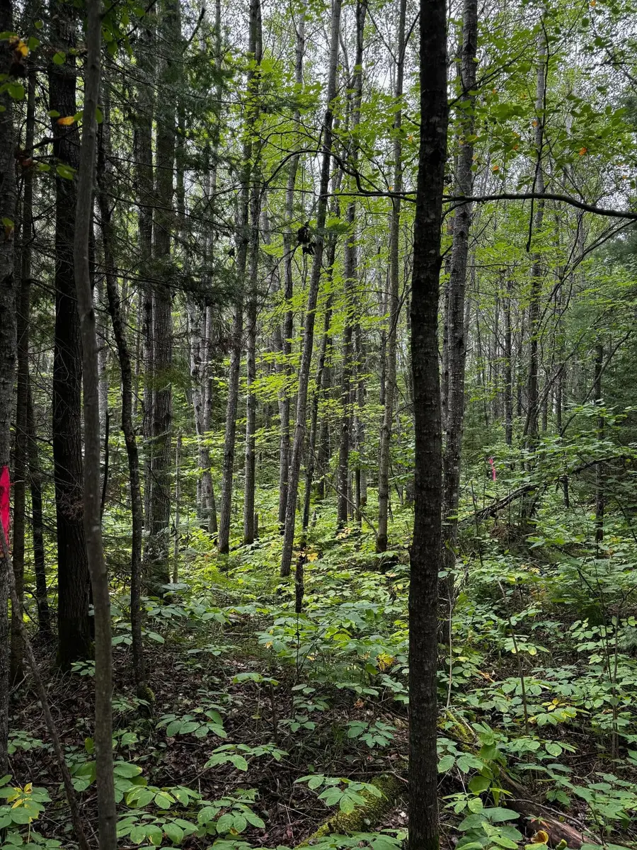 0000 Pine Lake Rd #Lot 1, Minocqua, WI 54548 - #3