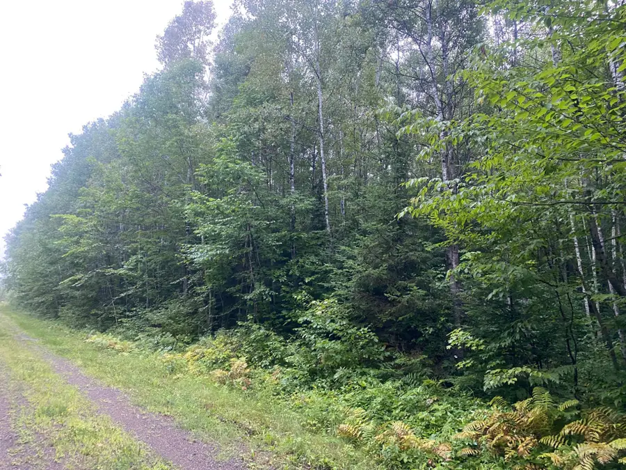 ON Doland Rd, Draper, WI 54896 - Image #3