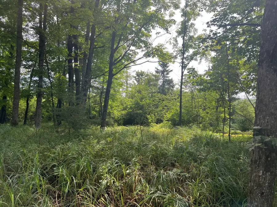 TBD Brule Lake Rd W, Iron River, MI 49935 - Image #3