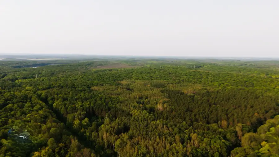 Lot 6 Tower Rd, Crandon, WI 54520 - Image #3