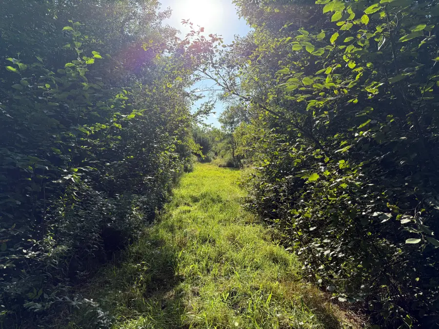 W11013 Burr Oak Rd, Kennan, WI 54537 - Image #3