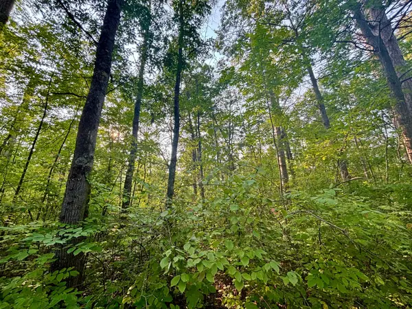 .55A On Scipio Ave, Hayward, WI 54843