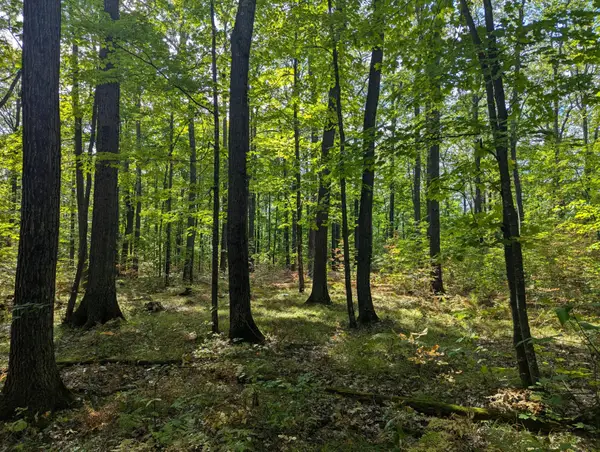 00 West Y Rd, Exeland, WI 54835