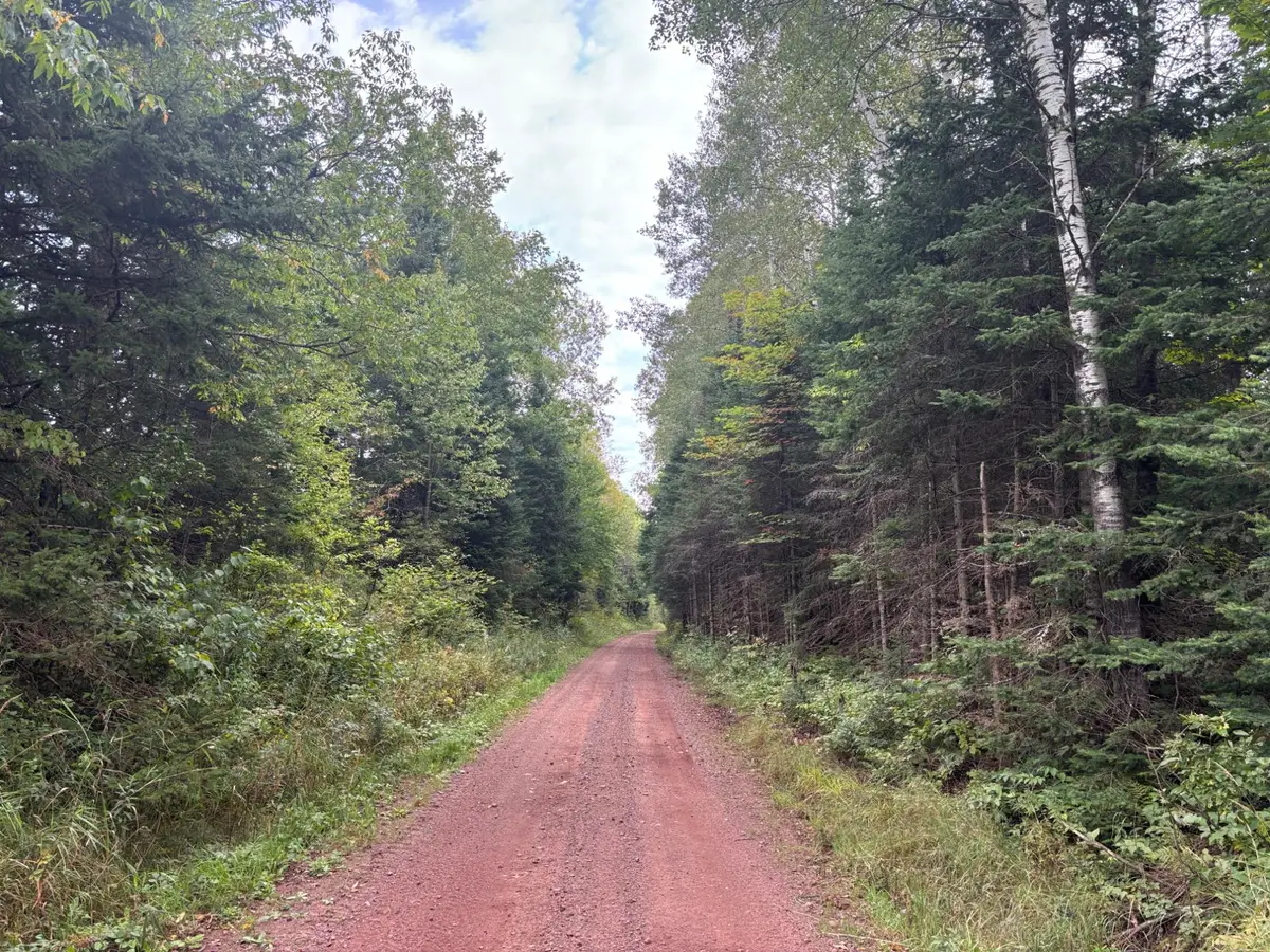 TBD Dunham Rd, Marenisco, MI 49947 - Image #1