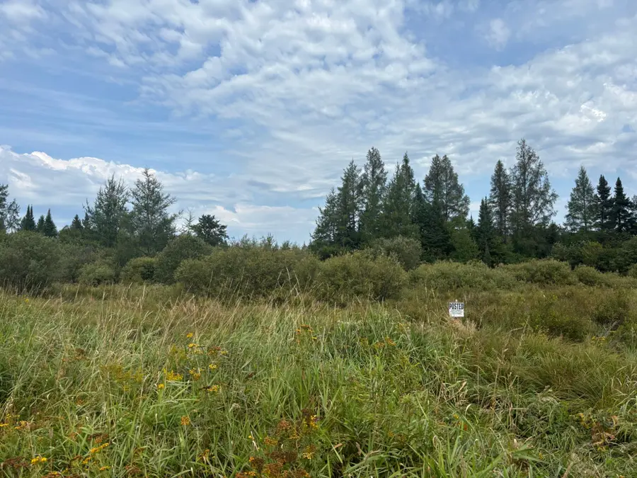 TBD Dunham Rd, Marenisco, MI 49947 - Image #2