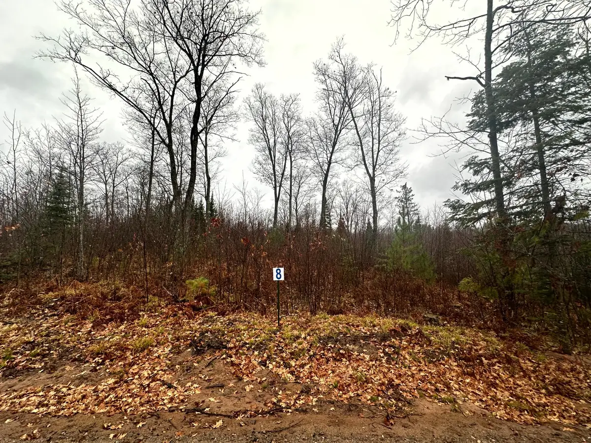 Lot 8 Cth B, Land O Lakes, WI 54540 - Image #1