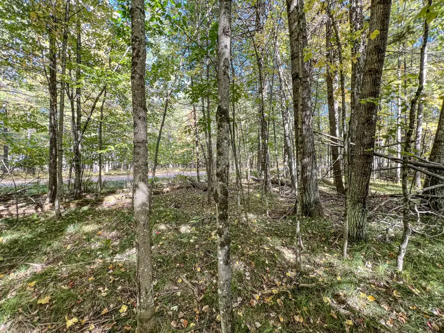 ON Bay Ct, Woodruff, WI 54568 - Image #2