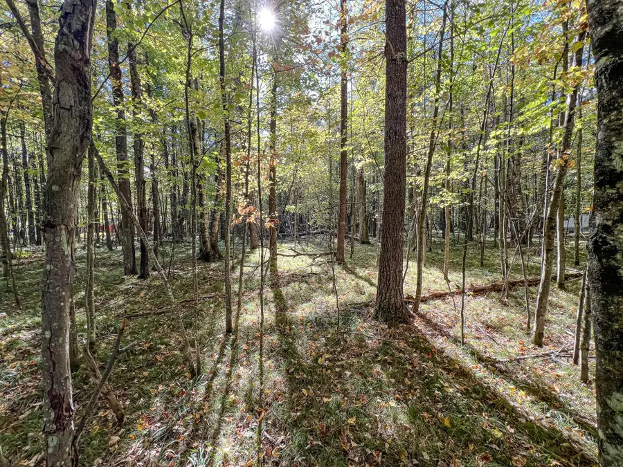 ON Bay Ct, Woodruff, WI 54568 - Image #3