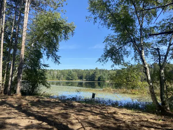 5 acres Pine Shore Ln #Lot 3, Tomahawk, WI 54487