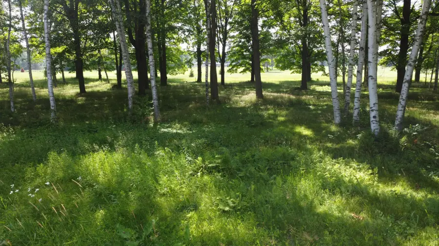 Lot 13 Hunter Cr, Antigo, WI 54409 - Image #2