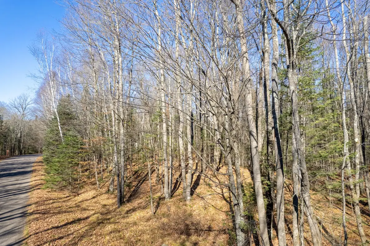 LOT 6 Beaver Rd, Presque Isle, WI 54557 - Image #1