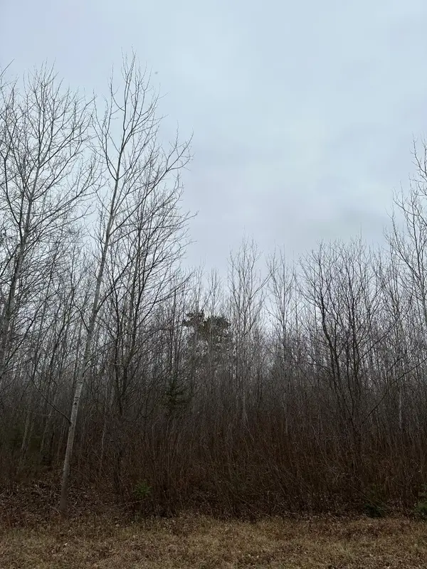 ON Burrows Lake Rd #4067-A, Tomahawk, WI 54487