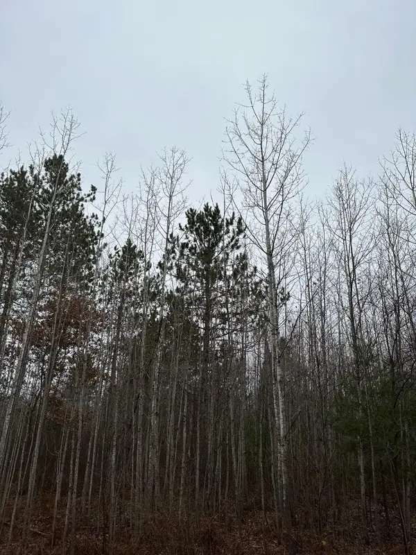 ON Burrows Lake Rd #4067-G, Tomahawk, WI 54487