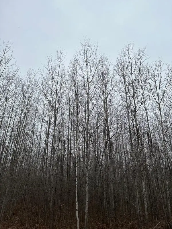 ON Burrows Lake Rd #4067-I, Tomahawk, WI 54487