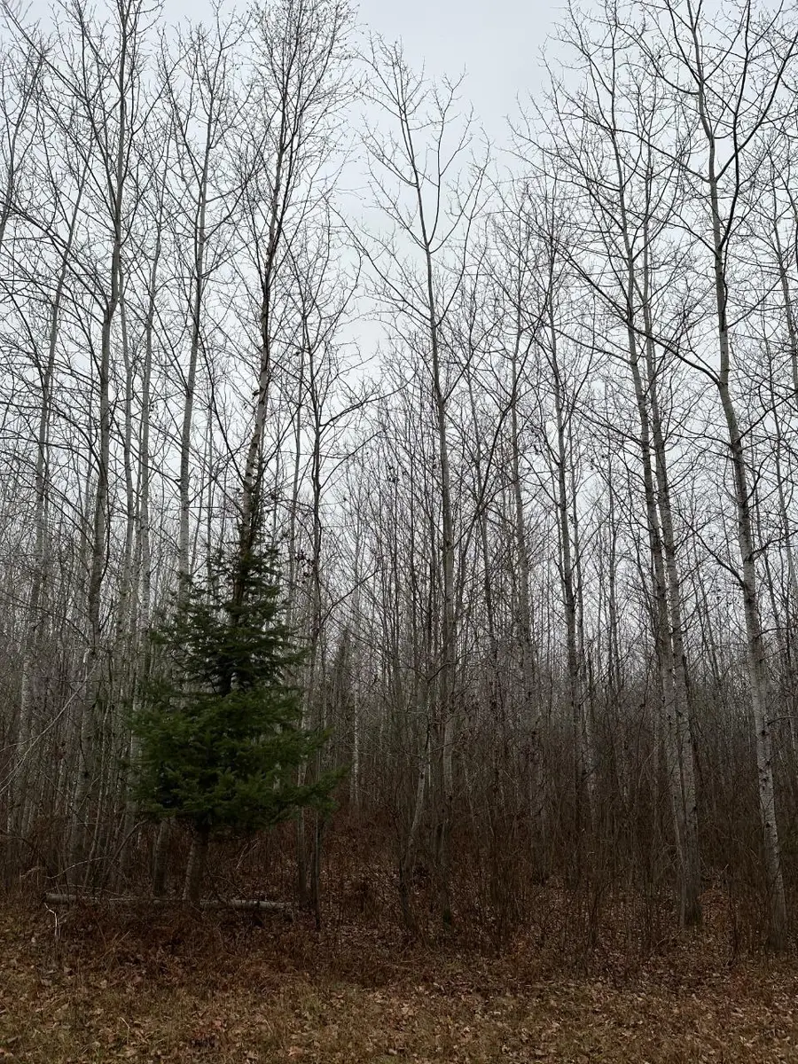 ON Burrows Lake Rd #4067-I, Tomahawk, WI 54487 - Image #2