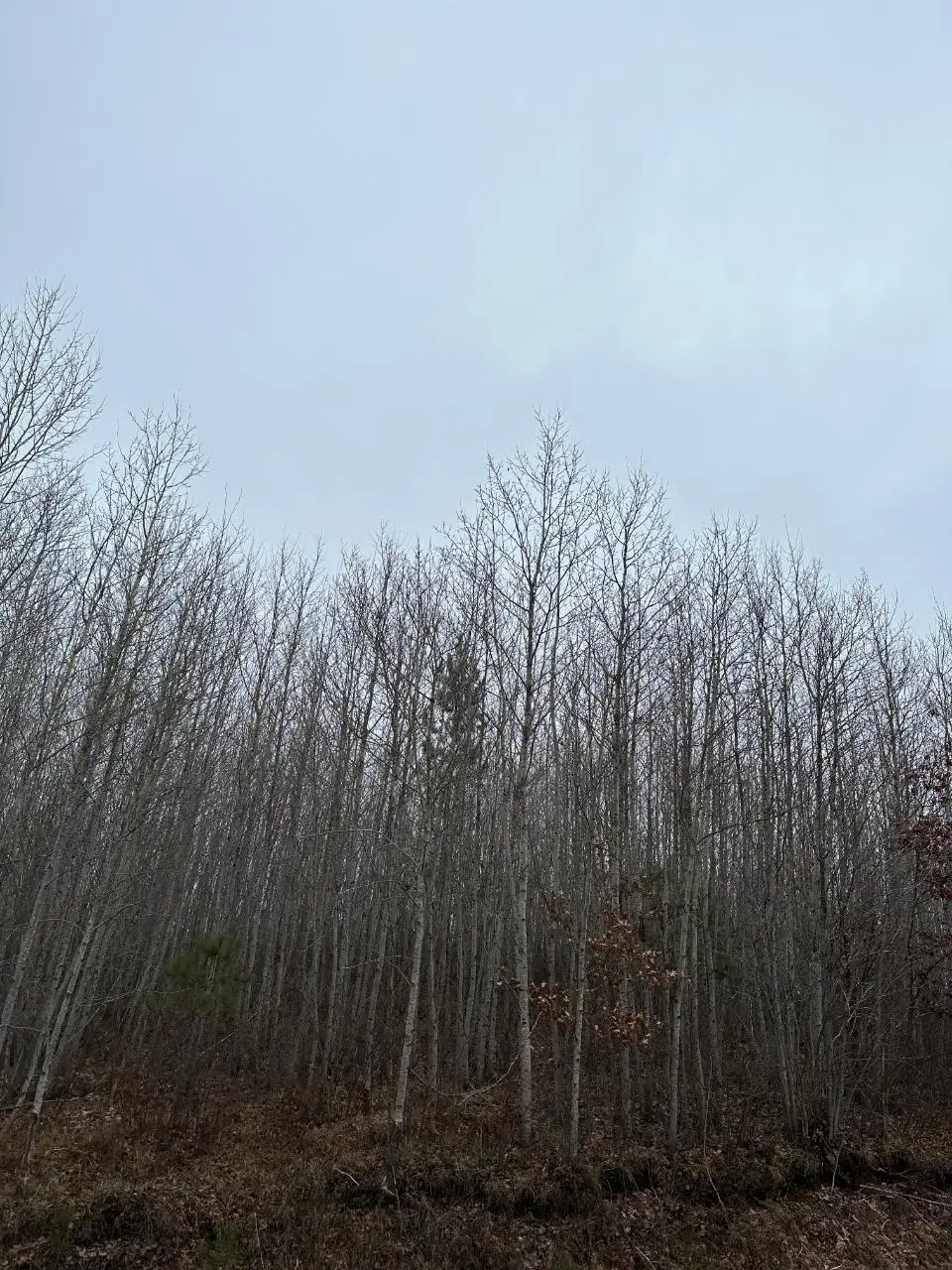 ON Prairie Lake Rd #4069-7, Nokomis, WI 59736 - Image #1