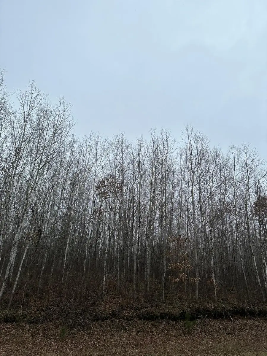 ON Prairie Lake Rd #4069-7, Nokomis, WI 59736 - Image #2