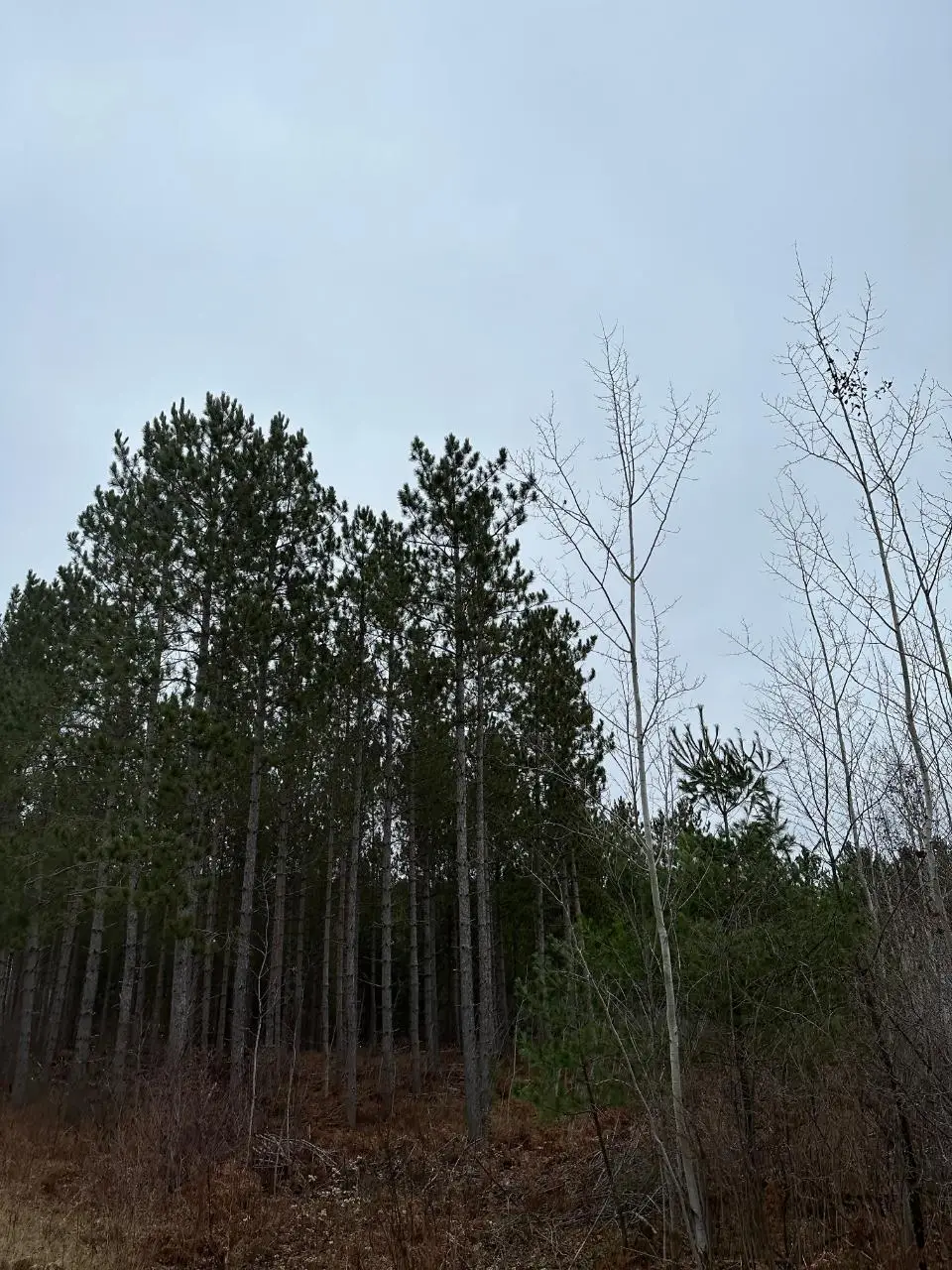 ON Swamp Lake Rd #4069-10, Tomahawk, WI 54487 - Image #1