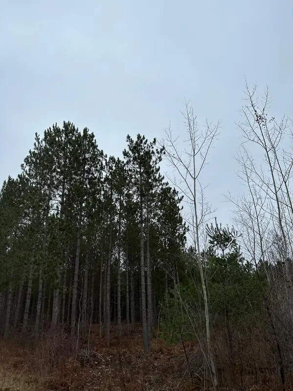 ON Swamp Lake Rd #4069-10, Tomahawk, WI 54487