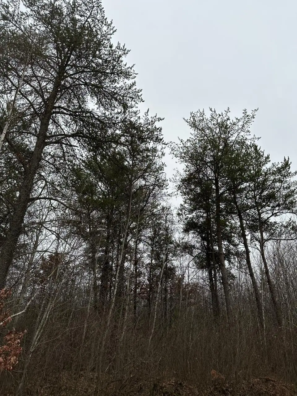 ON Prairie Lake Rd #4069-13, Tomahawk, WI 54487 - Image #1