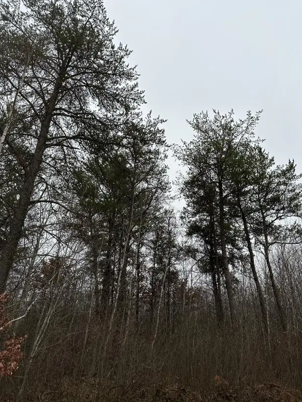 ON Prairie Lake Rd #4069-13, Tomahawk, WI 54487