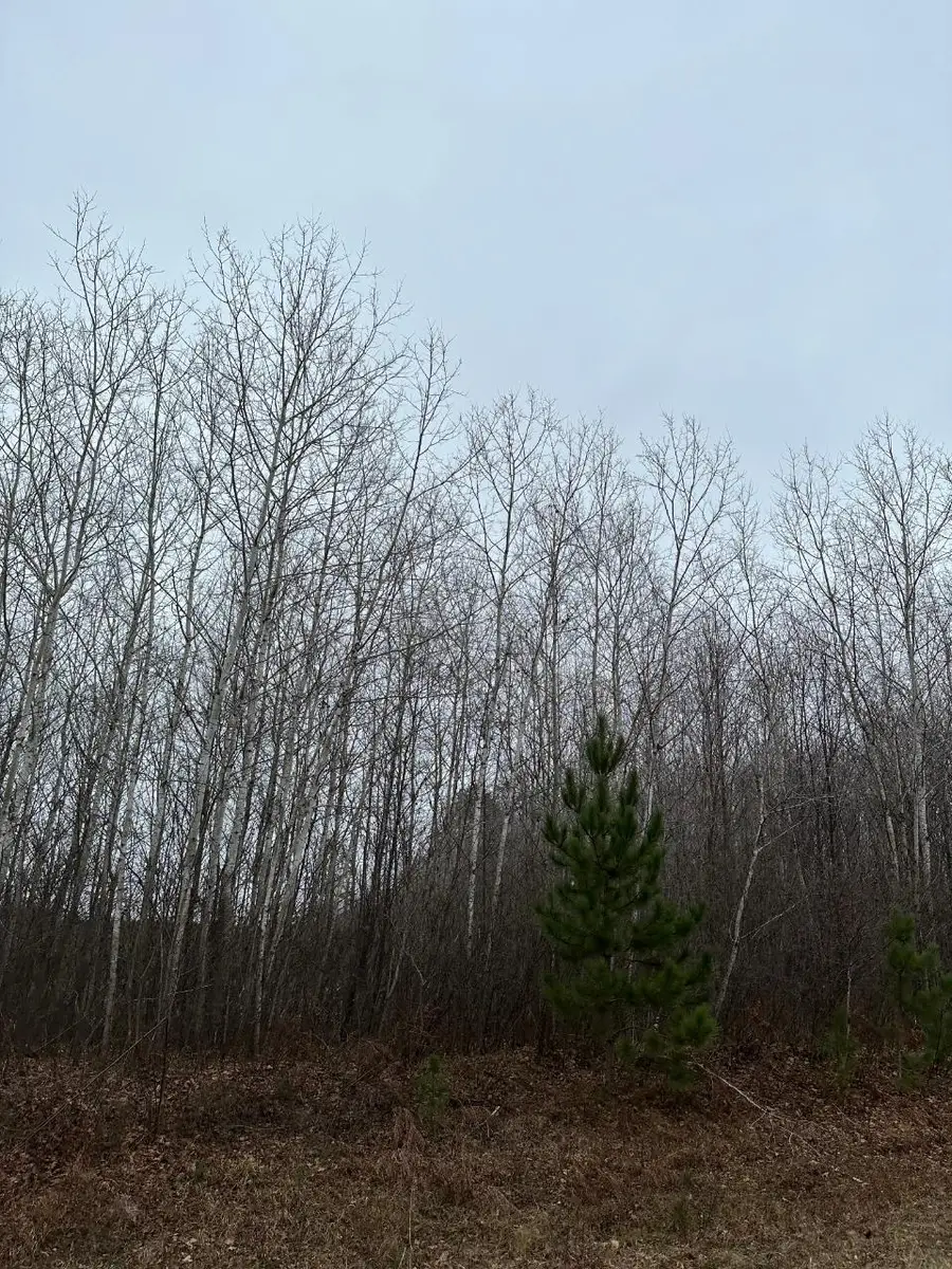 ON Prairie Lake Rd #4069-13, Tomahawk, WI 54487 - Image #2