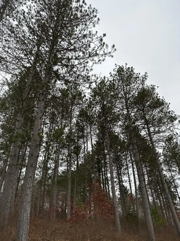 ON Wood Rd #4069-21, Tomahawk, WI 54487